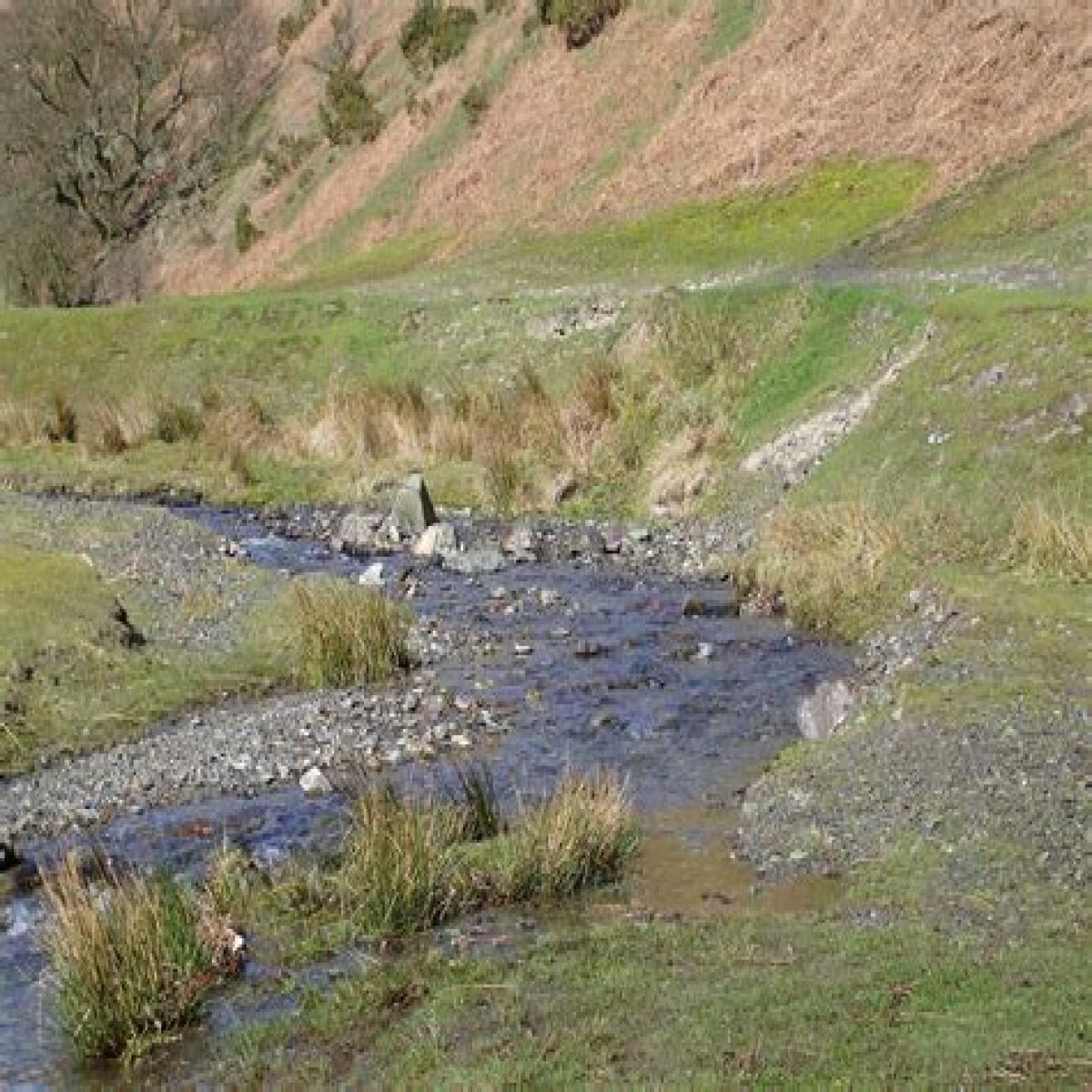 ___ your way (meander along a path)